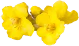 Alt image